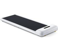 Беговая дорожка WalkingPad C2 WPS1F, белая FWPCWHEUI2104201