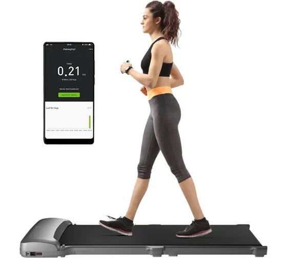 Беговая дорожка WalkingPad C1 WPC1F, серая 3WPC1GREUA