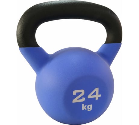 Чугунная гиря с виниловым покрытием SportElite 24 кг, матовая ES-0290
