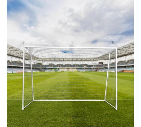 Игровые ворота DFC GOAL302