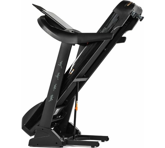 Беговая дорожка DFC SANTANA Pro T757