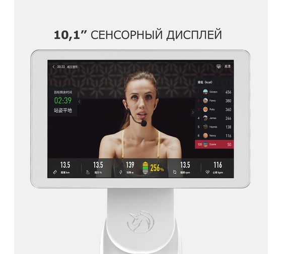 Велотренажер DFC Yesoul BS3-W PRO BS3-W-10.1