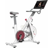 Велотренажер DFC Yesoul BS3-W PRO PLUS BS3-W-21.5
