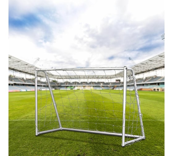 Игровые ворота DFC GOAL120