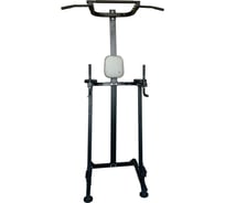 Стойка для подтягиваний DFC VT-7003