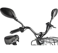 Трицикл Eltreco Porter Fat 700 серебристый 022872-2415