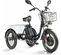 Трицикл Eltreco Porter Fat 700 черный 022872-2417