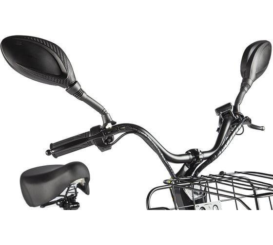 Трицикл Eltreco Porter Fat 700 черный 022872-2417