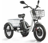 Трицикл Eltreco Porter Fat 500 серебристый 022870-2409
