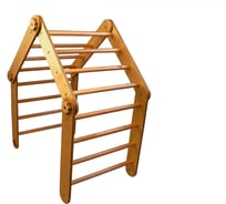 Детский спортивный комплекс Kampfer Pickler №3 Классический K10435004