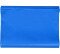 Лента для йоги и пилатеса Beroma 150x15 см 07824488