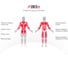 Силовой комплекс UNIXFIT UNIX Fit BLOCK MAX BSBLMAX 8