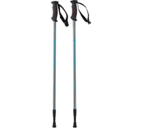 Скандинавские палки Berger Oxygen 2-секционные, 77-135 см, серебристый/голубой УТ-00019906
