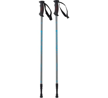 Скандинавские палки Berger Oxygen 2-секционные, 77-135 см, серебристый/голубой УТ-00019906