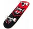 Скейтборд RIDEX Loki 29"X7.6" УТ-00021013 4