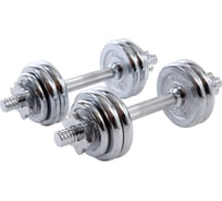 Разборные гантели в чемодане Basefit DB-501 7.5 кг, хромированный чугун/хромированная сталь, 2 шт УТ-00019795