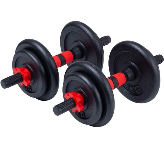 Разборные гантели в чемодане Basefit DB-706 чугун/пластик, 15 кг, 2 шт УТ-00019316 1