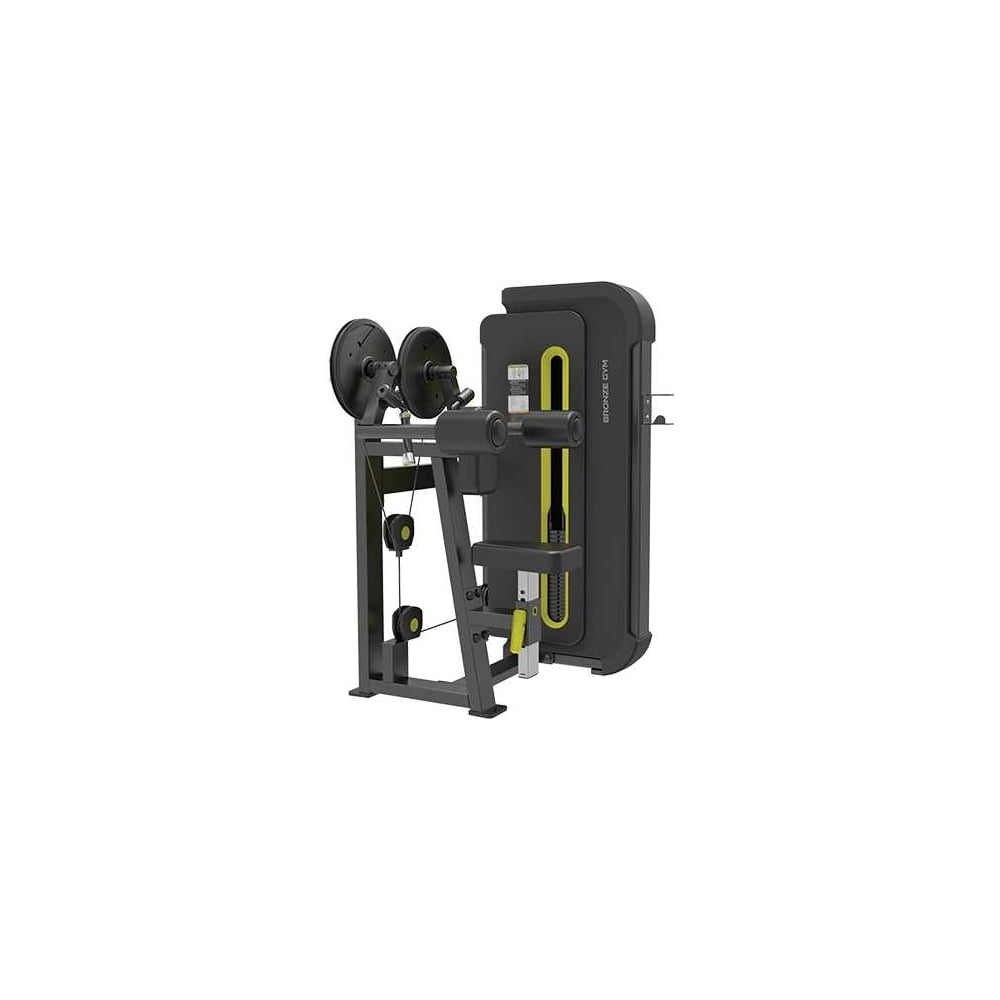 Тренажер дельта-машина Bronze gym BG-BW-3005_MBB - выгодная цена ...