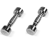 Хромированная гантель Bronze gym 2 кг BG-PA-DB-C02