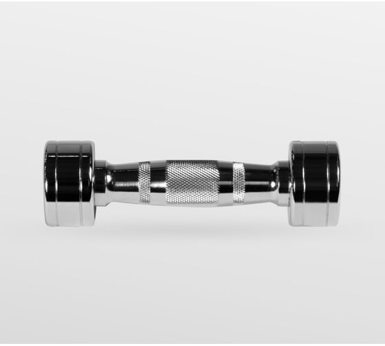 Хромированная гантель Bronze gym 2 кг BG-PA-DB-C02