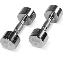 Хромированная гантель Bronze gym 6 кг BG-PA-DB-C06