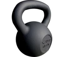 Чугунная гиря EURO CLASSIC 16 кг 28266393
