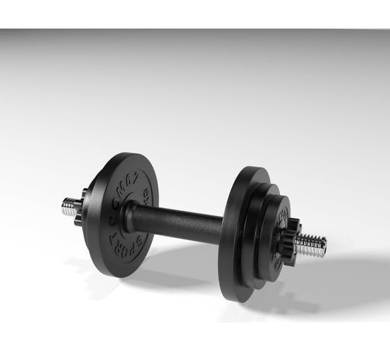 Разборная гантель BARFITS Sportcom d26, 24.5 кг 1181160785