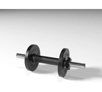 Разборная гантель BARFITS Sportcom d26, 9.5 кг 1181160765