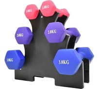 Набор виниловых гантелей Atlas Sport FITNES 12 кг 2071100020128