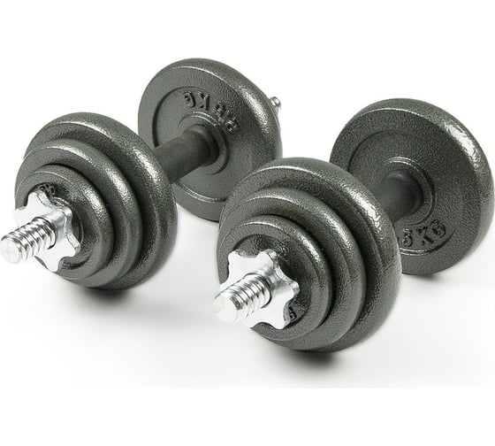 Набор металлических гантелей в чемодане Atlas Sport 20 кг 2071000320212