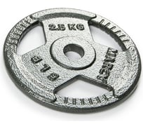 Металлический диск для гантели Atlas Sport HAMMERTONE 2.5 кг, посадочный диаметр 30 мм 2071000202501
