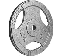 Металлический диск Atlas Sport HAMMERTONE 10 кг, посадочный диаметр 26 мм 2071000201009