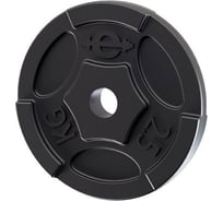 Чугунный окрашенный диск EURO CLASSIC d-26, 2.5кг 28262679