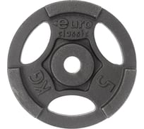 Чугунный окрашенный диск EURO CLASSIC d-26, 5кг 28262680