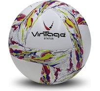 Футбольный мяч Vintage Status р.5 V420