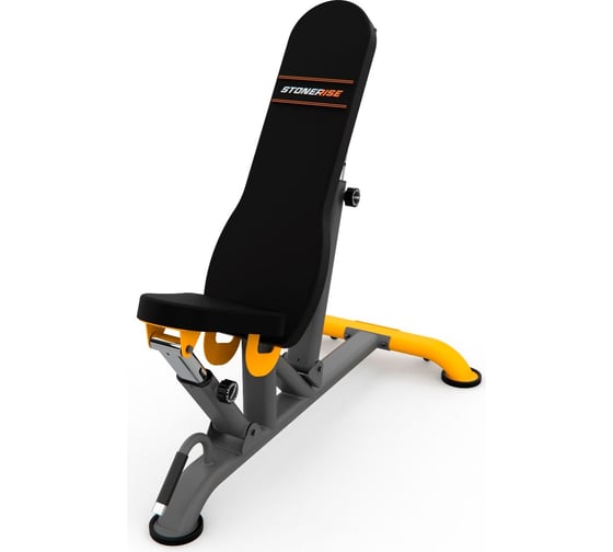 Универсальная скамья DFC STONERIS StormShape DS01