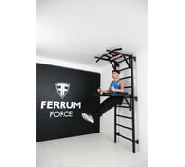 Спортивный комплекс FerrumForce FR2 черный/красный FR20010110-1