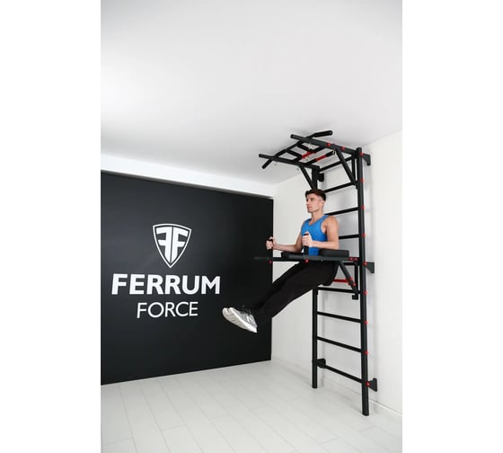Спортивный комплекс FerrumForce FR2 черный/красный FR20010110-1 1