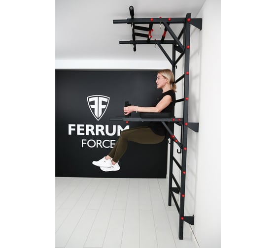 Спортивный комплекс FerrumForce FR2 черный/красный FR20010110-1