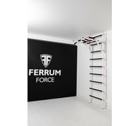 Спортивный комплекс FerrumForce FR1 белый/красный FR10010110-3