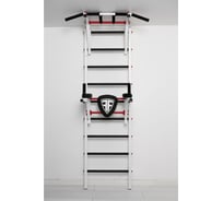 Спортивный комплекс FerrumForce FR2 белый/красный FR20010110-3