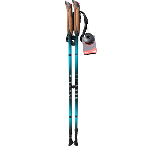 Палки для скандинавской ходьбы Tramp Fitness синий TRR-011