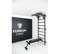 Спортивный комплекс FerrumForce FR3 черный/красный FR30010110-1