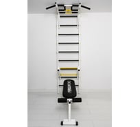 Спортивный комплекс FerrumForce FR4 бело-желтый FR40010110-4
