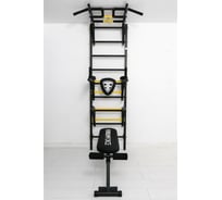 Спортивный комплекс FerrumForce FR5 черно-желтый FR50010110-2
