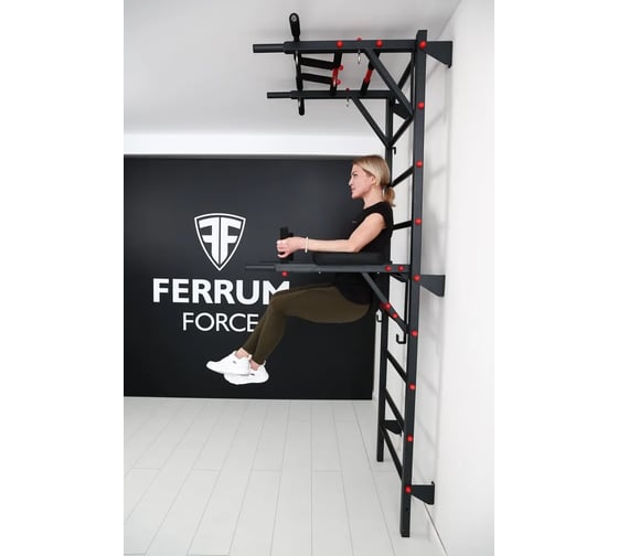 Спортивный комплекс FerrumForce FR7 черно-красный FR70010110-1