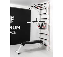 Спортивный комплекс FerrumForce FR6 бело-красный FR60010110-3
