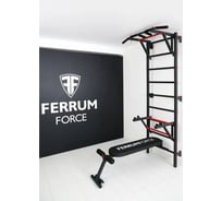 Спортивный комплекс FerrumForce F4 черно-красный F40010110-1