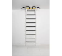 Спортивный комплекс FerrumForce F1 бело-желтый F10010110-4