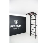 Спортивный комплекс FerrumForce F1 черно-красный F10010110-1